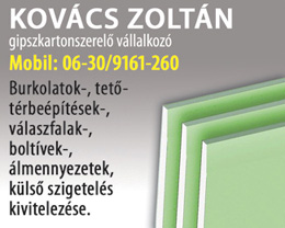 Kovács Zoltán