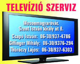 Televízió Szerviz